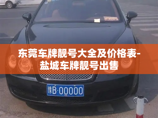 东莞车牌靓号大全及价格表-盐城车牌靓号出售-第2张图片-七号汽车选号