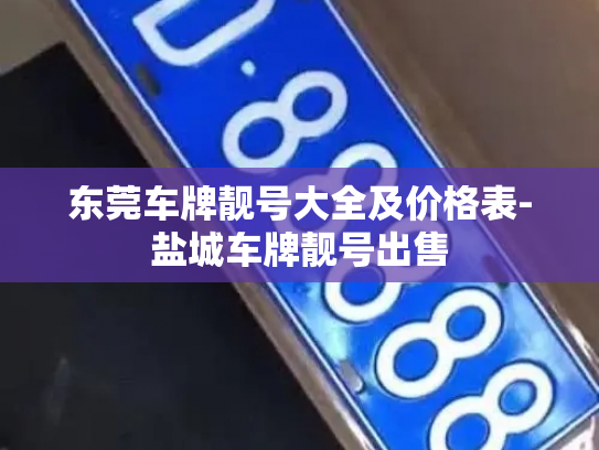 东莞车牌靓号大全及价格表-盐城车牌靓号出售-第3张图片-七号汽车选号