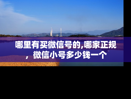 哪里有买微信号的,哪家正规，微信小号多少钱一个-第1张图片-七号汽车选号