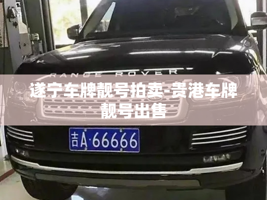 遂宁车牌靓号拍卖-贵港车牌靓号出售-第2张图片-七号汽车选号 遂宁车牌靓号拍卖-贵港车牌靓号出售-第2张图片-七号汽车选号