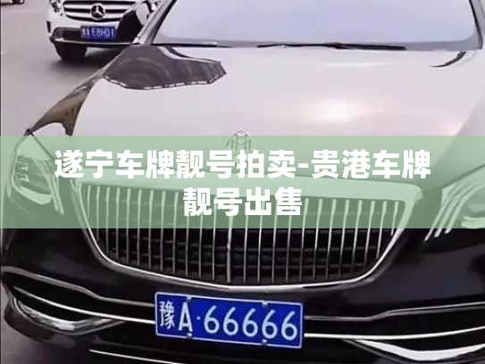 遂宁车牌靓号拍卖-贵港车牌靓号出售-第3张图片-七号汽车选号 遂宁车牌靓号拍卖-贵港车牌靓号出售-第3张图片-七号汽车选号