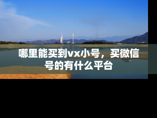 哪里能买到vx小号，买微信号的有什么平台-第1张图片-七号汽车选号