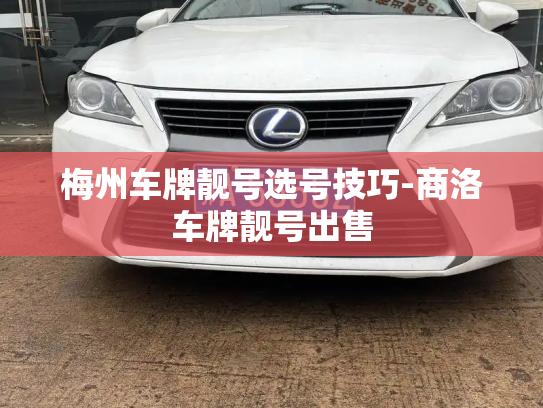 梅州车牌靓号选号技巧-商洛车牌靓号出售-第2张图片-七号汽车选号 梅州车牌靓号选号技巧-商洛车牌靓号出售-第2张图片-七号汽车选号