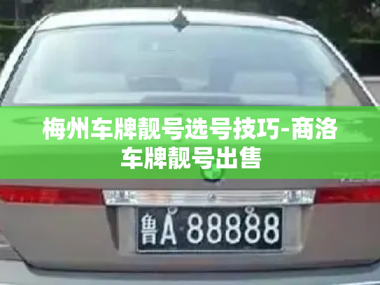 梅州车牌靓号选号技巧-商洛车牌靓号出售-第3张图片-七号汽车选号 梅州车牌靓号选号技巧-商洛车牌靓号出售-第3张图片-七号汽车选号