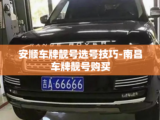安顺车牌靓号选号技巧-南昌车牌靓号购买-第2张图片-七号汽车选号 安顺车牌靓号选号技巧-南昌车牌靓号购买-第2张图片-七号汽车选号