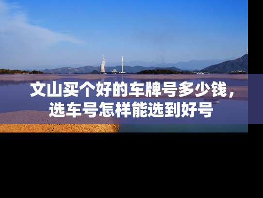 文山买个好的车牌号多少钱，选车号怎样能选到好号