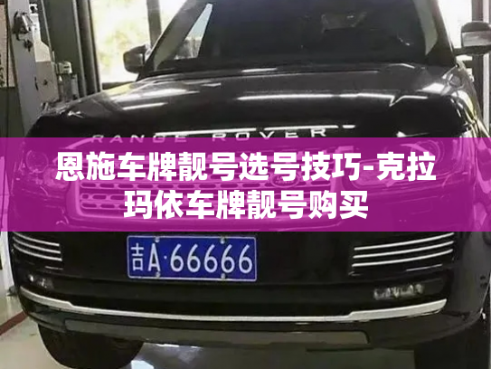 恩施车牌靓号选号技巧-克拉玛依车牌靓号购买-第2张图片-七号汽车选号