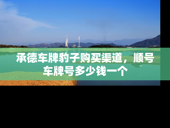 承德车牌豹子购买渠道，顺号车牌号多少钱一个-第1张图片-七号汽车选号