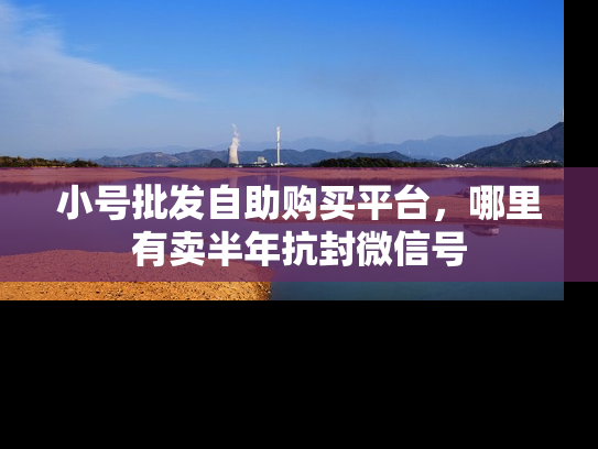 小号批发自助购买平台，哪里有卖半年抗封微信号-第1张图片-七号汽车选号