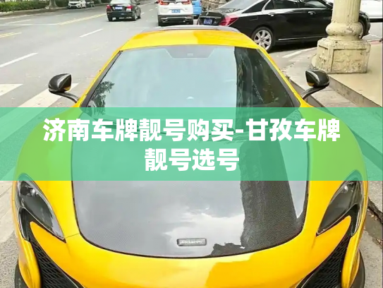 济南车牌靓号购买-甘孜车牌靓号选号-第3张图片-七号汽车选号