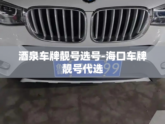 酒泉车牌靓号选号-海口车牌靓号代选-第2张图片-七号汽车选号 酒泉车牌靓号选号-海口车牌靓号代选-第2张图片-七号汽车选号
