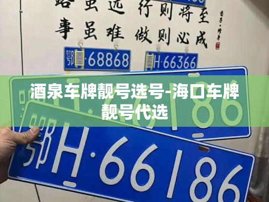 酒泉车牌靓号选号-海口车牌靓号代选-第3张图片-七号汽车选号 酒泉车牌靓号选号-海口车牌靓号代选-第3张图片-七号汽车选号