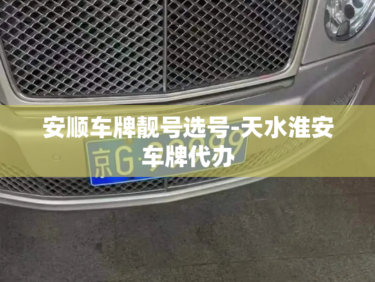 安顺车牌靓号选号-天水淮安车牌代办-第3张图片-七号汽车选号 安顺车牌靓号选号-天水淮安车牌代办-第3张图片-七号汽车选号