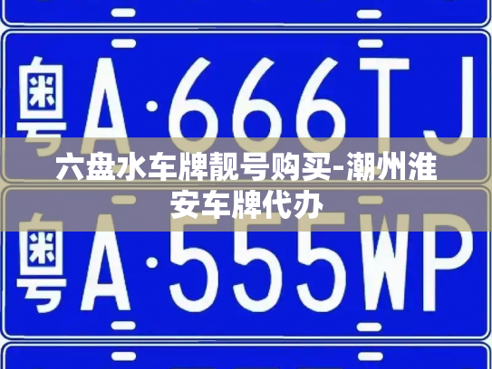 六盘水车牌靓号购买-潮州淮安车牌代办-第3张图片-七号汽车选号