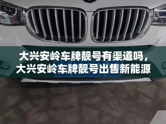 大兴安岭车牌靓号有渠道吗，大兴安岭车牌靓号出售新能源车-第2张图片-七号汽车选号