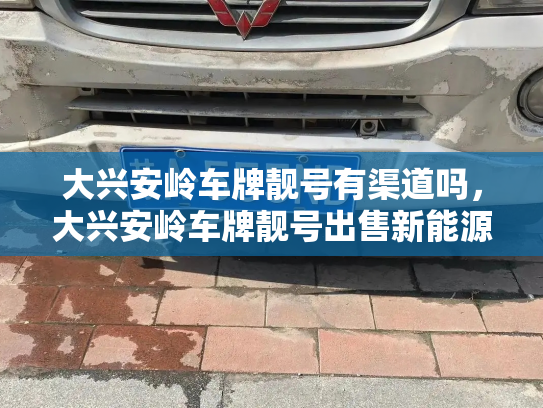 大兴安岭车牌靓号有渠道吗，大兴安岭车牌靓号出售新能源车-第3张图片-七号汽车选号