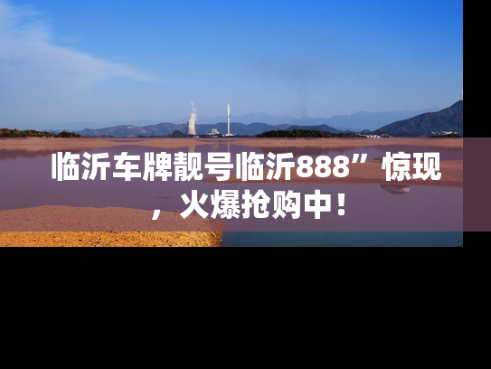 临沂车牌靓号临沂888”惊现，火爆抢购中！