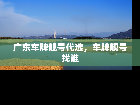 广东车牌靓号代选，车牌靓号找谁