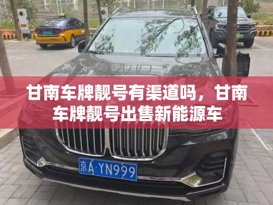甘南车牌靓号有渠道吗，甘南车牌靓号出售新能源车-第2张图片-七号汽车选号