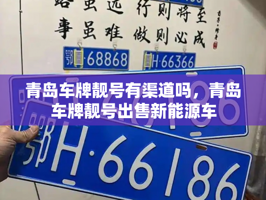青岛车牌靓号有渠道吗，青岛车牌靓号出售新能源车-第3张图片-七号汽车选号