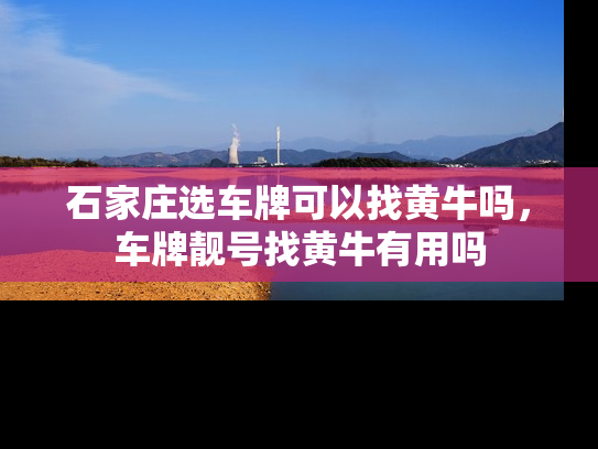 石家庄选车牌可以找黄牛吗，车牌靓号找黄牛有用吗