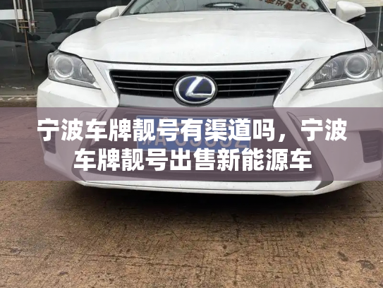 宁波车牌靓号有渠道吗,宁波车牌靓号出售新能源车-第3张图片-七号汽车选号 宁波车牌靓号有渠道吗,宁波车牌靓号出售新能源车-第3张图片-七号汽车选号