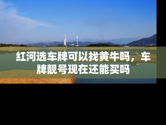 红河选车牌可以找黄牛吗，车牌靓号现在还能买吗