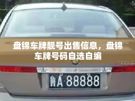 盘锦车牌靓号出售信息，盘锦车牌号码自选自编