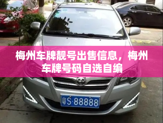 梅州车牌靓号出售信息，梅州车牌号码自选自编