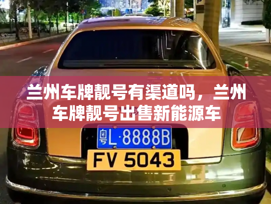 兰州车牌靓号有渠道吗，兰州车牌靓号出售新能源车-第3张图片-七号汽车选号
