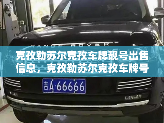 克孜勒苏尔克孜车牌靓号出售信息，克孜勒苏尔克孜车牌号码自选自编