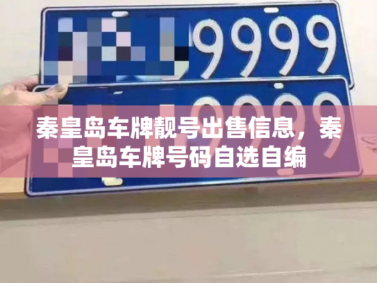 秦皇岛车牌靓号出售信息，秦皇岛车牌号码自选自编