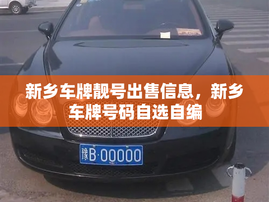 新乡车牌靓号出售信息，新乡车牌号码自选自编