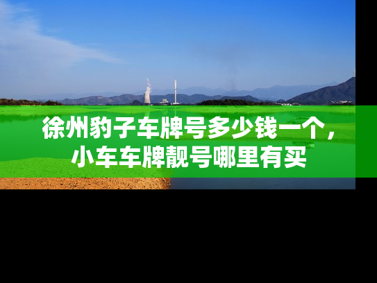 徐州豹子车牌号多少钱一个，小车车牌靓号哪里有买