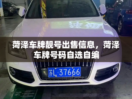 菏泽车牌靓号出售信息，菏泽车牌号码自选自编