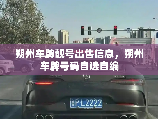 朔州车牌靓号出售信息,朔州车牌号码自选自编-第3张图片-七号汽车选号 朔州车牌靓号出售信息,朔州车牌号码自选自编-第3张图片-七号汽车选号