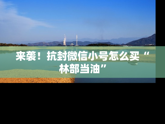 来袭！抗封微信小号怎么买“林部当油”-第1张图片-七号汽车选号