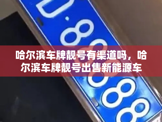 哈尔滨车牌靓号有渠道吗,哈尔滨车牌靓号出售新能源车-第2张图片-七号汽车选号 哈尔滨车牌靓号有渠道吗,哈尔滨车牌靓号出售新能源车-第2张图片-七号汽车选号