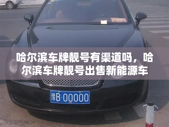 哈尔滨车牌靓号有渠道吗,哈尔滨车牌靓号出售新能源车-第3张图片-七号汽车选号 哈尔滨车牌靓号有渠道吗,哈尔滨车牌靓号出售新能源车-第3张图片-七号汽车选号