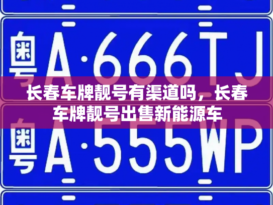 长春车牌靓号有渠道吗,长春车牌靓号出售新能源车-第3张图片-七号汽车选号 长春车牌靓号有渠道吗,长春车牌靓号出售新能源车-第3张图片-七号汽车选号