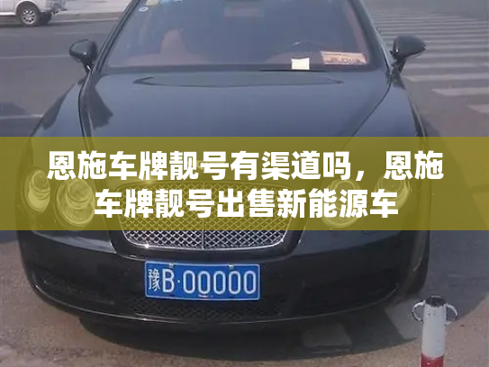 恩施车牌靓号有渠道吗，恩施车牌靓号出售新能源车-第2张图片-七号汽车选号