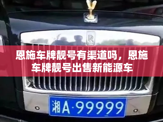 恩施车牌靓号有渠道吗，恩施车牌靓号出售新能源车-第3张图片-七号汽车选号