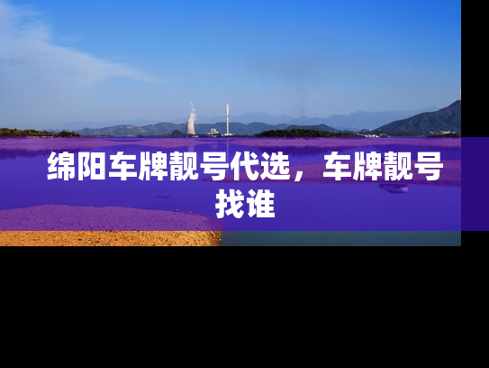 绵阳车牌靓号代选，车牌靓号找谁