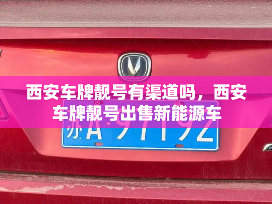 西安车牌靓号有渠道吗,西安车牌靓号出售新能源车-第2张图片-七号汽车选号 西安车牌靓号有渠道吗,西安车牌靓号出售新能源车-第2张图片-七号汽车选号