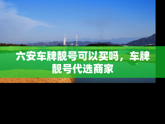 六安车牌靓号可以买吗，车牌靓号代选商家