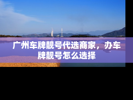 广州车牌靓号代选商家，办车牌靓号怎么选择