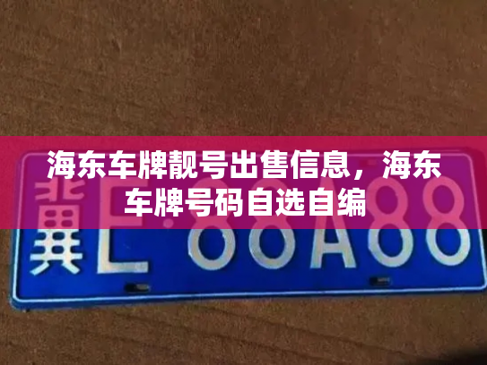 海东车牌靓号出售信息，海东车牌号码自选自编-第2张图片-七号汽车选号