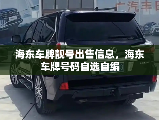 海东车牌靓号出售信息，海东车牌号码自选自编-第3张图片-七号汽车选号