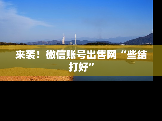 来袭！微信账号出售网“些结打好”-第1张图片-七号汽车选号
