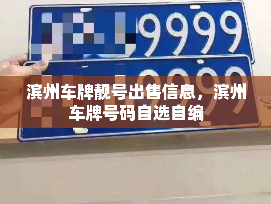 滨州车牌靓号出售信息,滨州车牌号码自选自编-第2张图片-七号汽车选号 滨州车牌靓号出售信息,滨州车牌号码自选自编-第2张图片-七号汽车选号